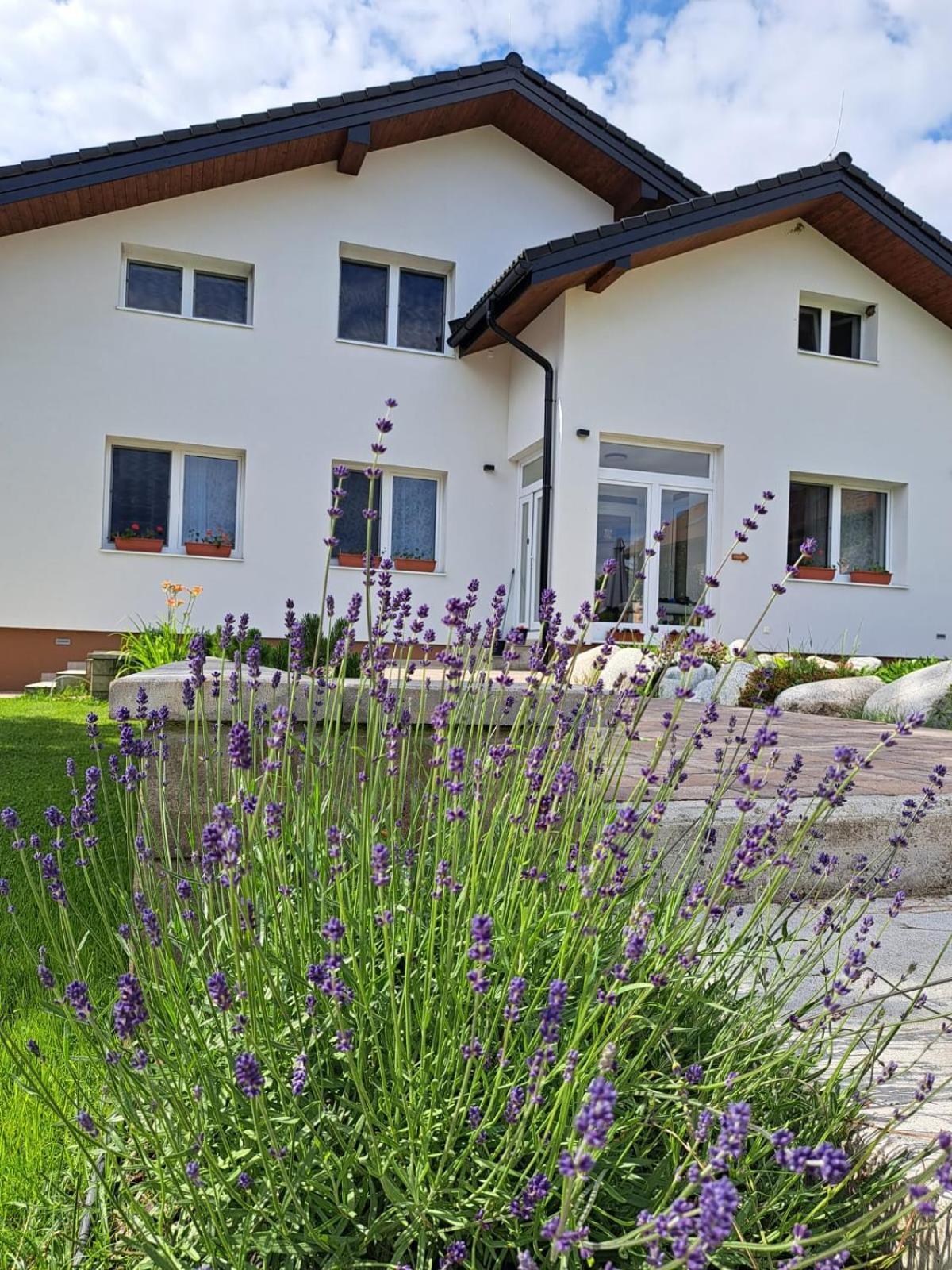 Ziar Apartmany 43 Exterior foto